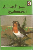 497 wise robin arabic.jpg