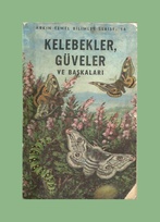 536 Butterflies moths Turkish border.jpg