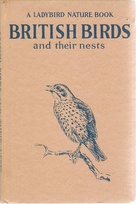 536 british birds buff blue line drawing.jpg