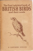536 british birds buff older.jpg