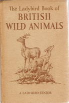 536 british wild animals buff older.jpg