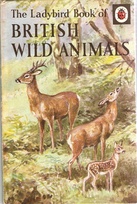 536 british wild animals matt older.jpg