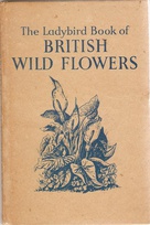 536 british wild flowers buff newer.jpg