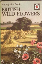 536 british wild flowers matt newer.jpg
