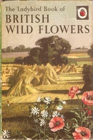 536 british wild flowers matt older.jpg