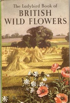 536 british wild flowers matt oldest.jpg