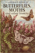 536 butterflies moths oldest.jpg