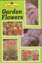 536 garden flowers 1981.jpg