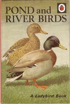 536 pond and river birds.jpg