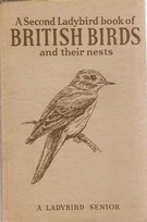 536 second british birds buff older.jpg