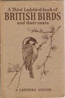 536 third british birds buff newer.jpg