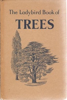 536 trees buff.jpg