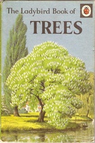 536 trees matt older.jpg