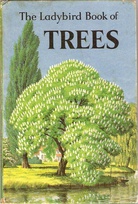 536 trees matt oldest.jpg