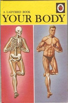 536 your body.jpg