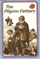 561 pilgrim fathers blue frame bigger ladybird.jpg