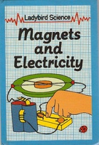 621 magnets grid Ladybird science.jpg