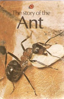 651 ants.jpg