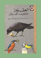 651 birds Arabic border.jpg