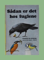 651 birds Danish border.jpg