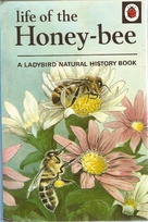651 honey-bee.jpg