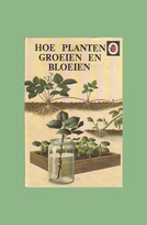 651 plants and how they grow Dutch border.jpg