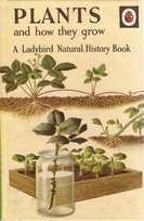 651 plants oldest with logo.jpg