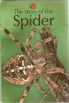 651 spider.jpg