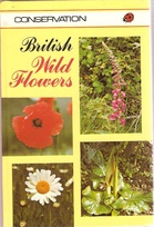 727 british wild flowers.jpg