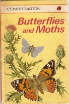 727 butterflies.jpg