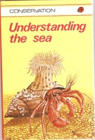 727 understanding the sea.jpg