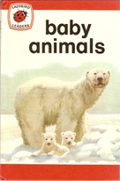737 baby animals.jpg