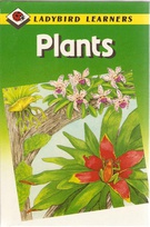 8911 plants.jpg