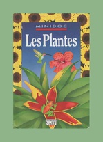 plants French border.jpg