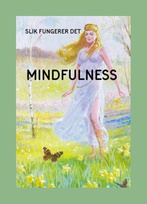 adult mindfulness Norwegian border.jpg