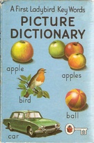 first key words picture dictionary.jpg