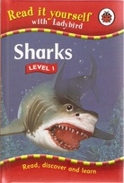 Sharks.jpg